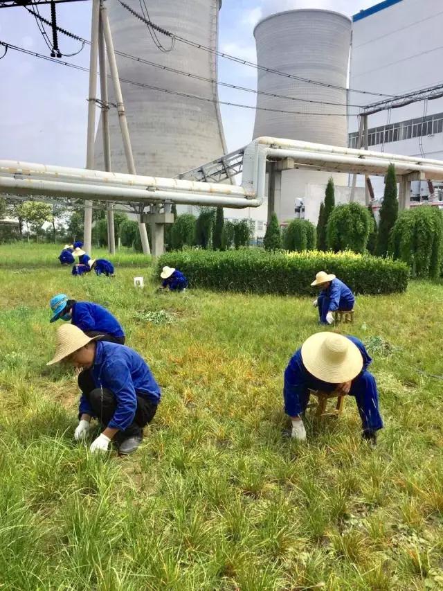 香港六宝典资料