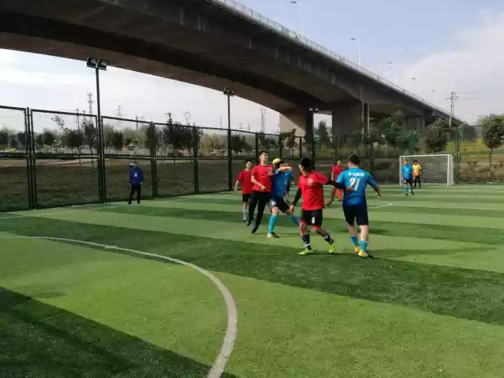 香港六宝典资料