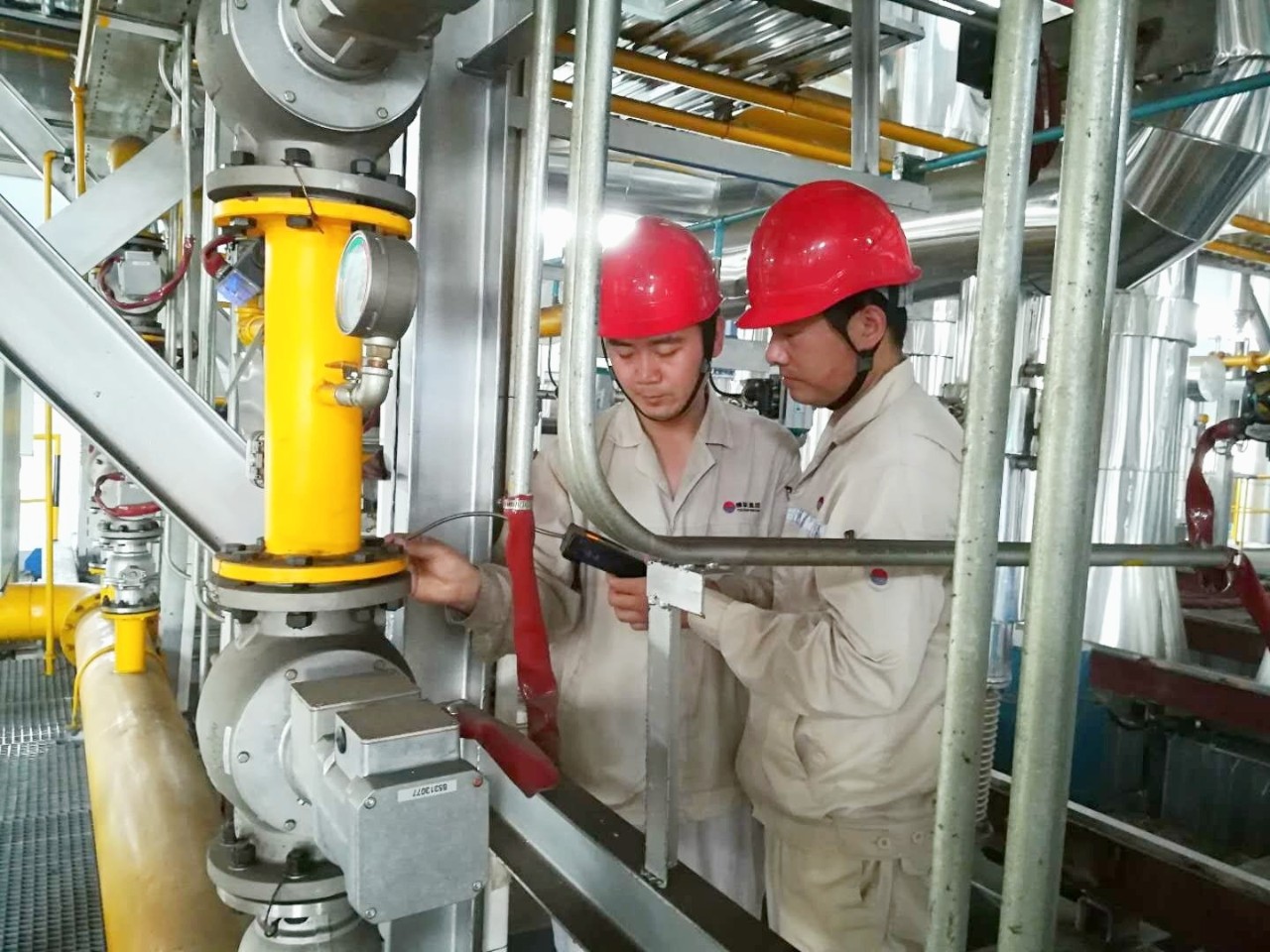 香港六宝典资料