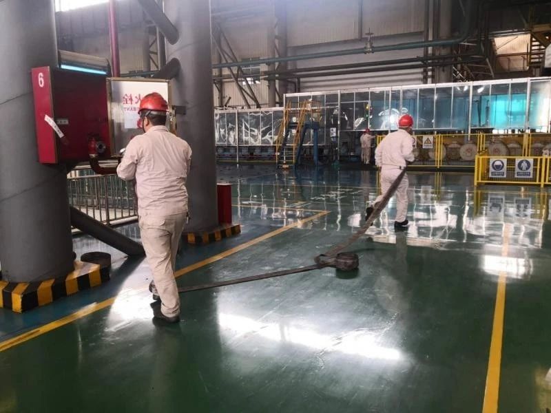 香港六宝典资料
