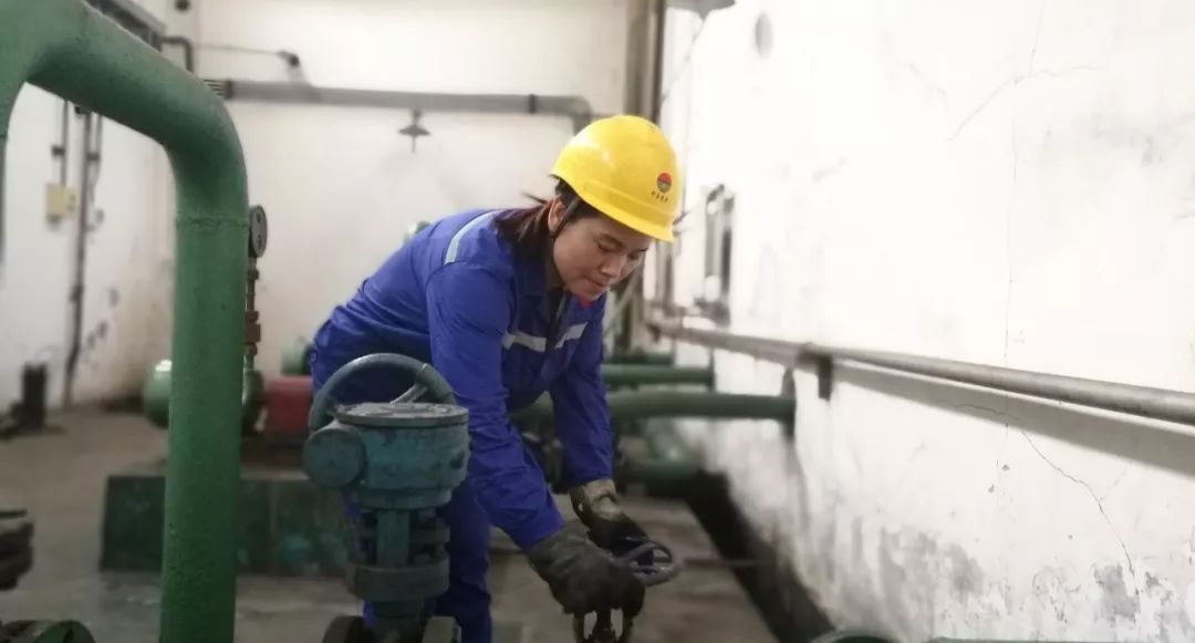 香港六宝典资料