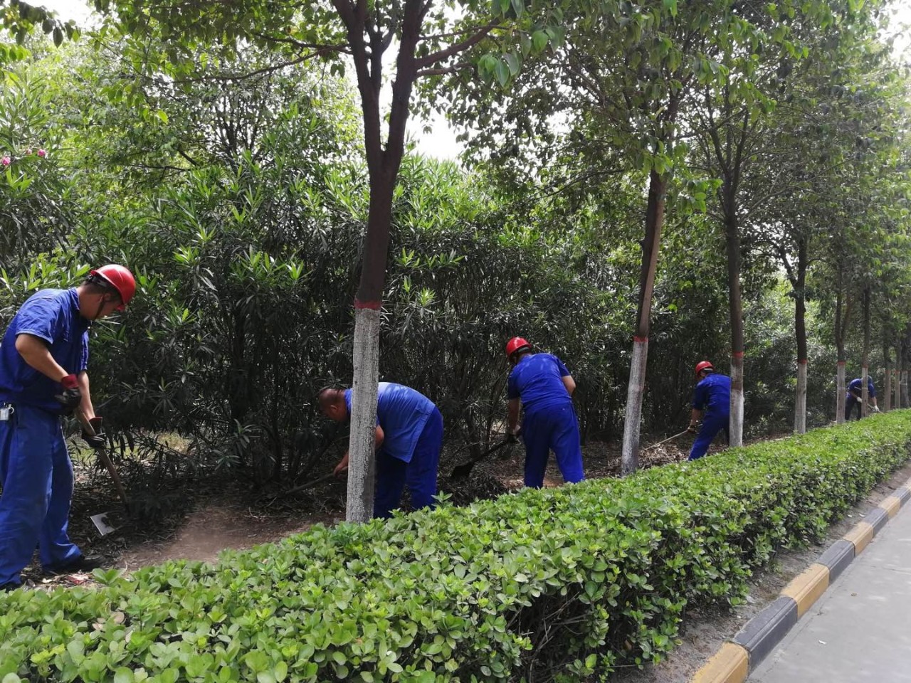 香港六宝典资料